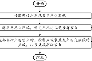 冬棗自動治蟲方法和裝置