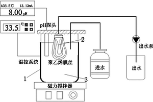 脫氮除磷耦合處理污水的反應(yīng)器及其處理污水的方法