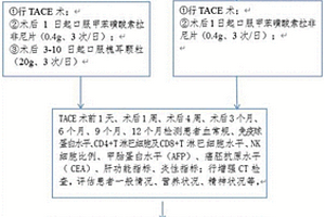 槐耳顆粒在制備進(jìn)行肝細(xì)胞癌TACE預(yù)后的試劑中的應(yīng)用