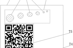 隨機理化防偽標記