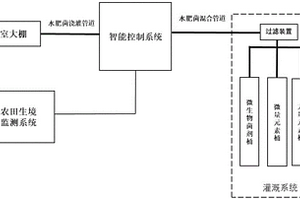 水肥菌一體化智能灌溉設(shè)備及其應(yīng)用