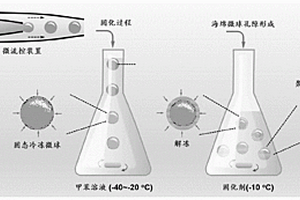 聚合物海綿微球及其制備方法