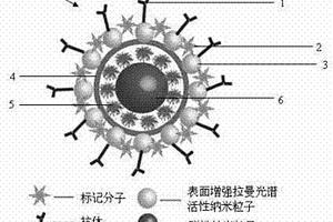 具有檢測和熱化療性能的多功能拉曼探針