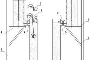 用于水生植物純蒸騰量的測(cè)量裝置