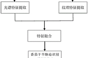 番茄干旱脅迫的識(shí)別方法