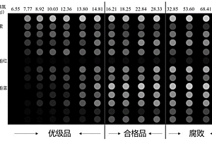 用于指示海水魚新鮮度的基于陽極鋁氧化膜比色陣列傳感標(biāo)簽的制備方法及其應(yīng)用