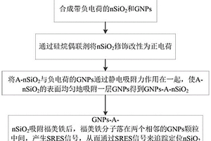 納米農(nóng)藥拉曼探針、制備方法及其應(yīng)用