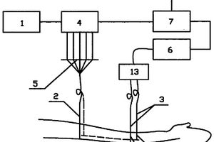 經(jīng)脈光學(xué)特性無(wú)損檢測(cè)方法及其裝置