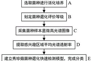 基于顯微高光譜圖像秀珍菇菌種退化無(wú)損檢測(cè)方法