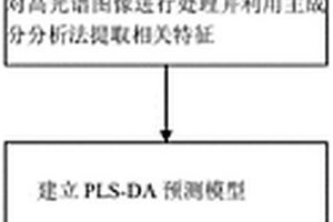 無損檢測中藥原藥材的方法