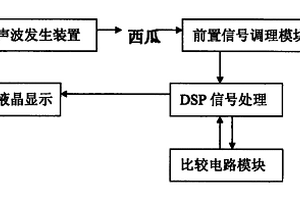 手持式西瓜成熟度無(wú)損檢測(cè)儀