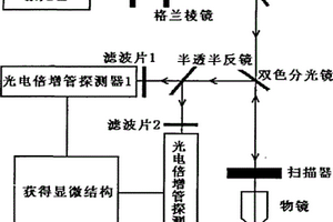 對細(xì)胞和細(xì)胞外間質(zhì)成分進(jìn)行同時無損探測的裝置