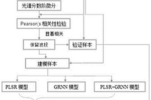 喀斯特植物葉片TN含量無損監(jiān)測(cè)方法