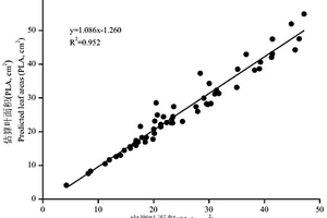白術(shù)葉面積無損估算系統(tǒng)