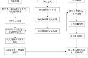 基于機器學(xué)習(xí)的踝骨折及韌帶損傷診斷方法