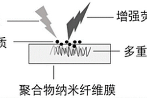 用于表面增強(qiáng)熒光的方法以及應(yīng)用