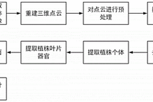 基于多目視覺(jué)的作物表型參數(shù)提取方法及系統(tǒng)