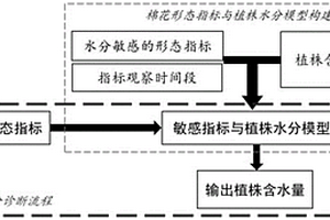 基于植株形態(tài)的棉花水分診斷方法