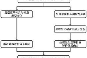 鑒定萱草耐澇性的綜合評(píng)價(jià)體系