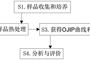 基于快速熒光誘導(dǎo)動力學(xué)的山核桃耐高溫性評價方法