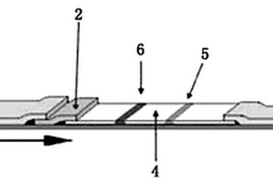 新型免疫層析試紙條