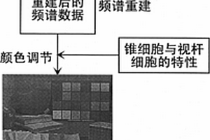 暗環(huán)境下人眼視覺(jué)系統(tǒng)感知效果的合成方法