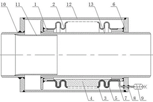 具有泄漏監(jiān)測功能的外壓型膨脹節(jié)