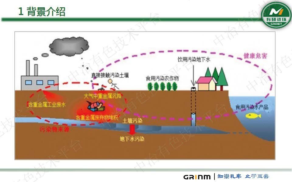 微生物法重金屬固化穩(wěn)定化及生態(tài)修復技術