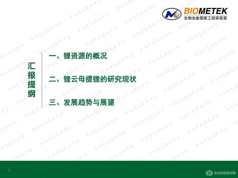 鋰云母提鋰的研究現(xiàn)狀與展望