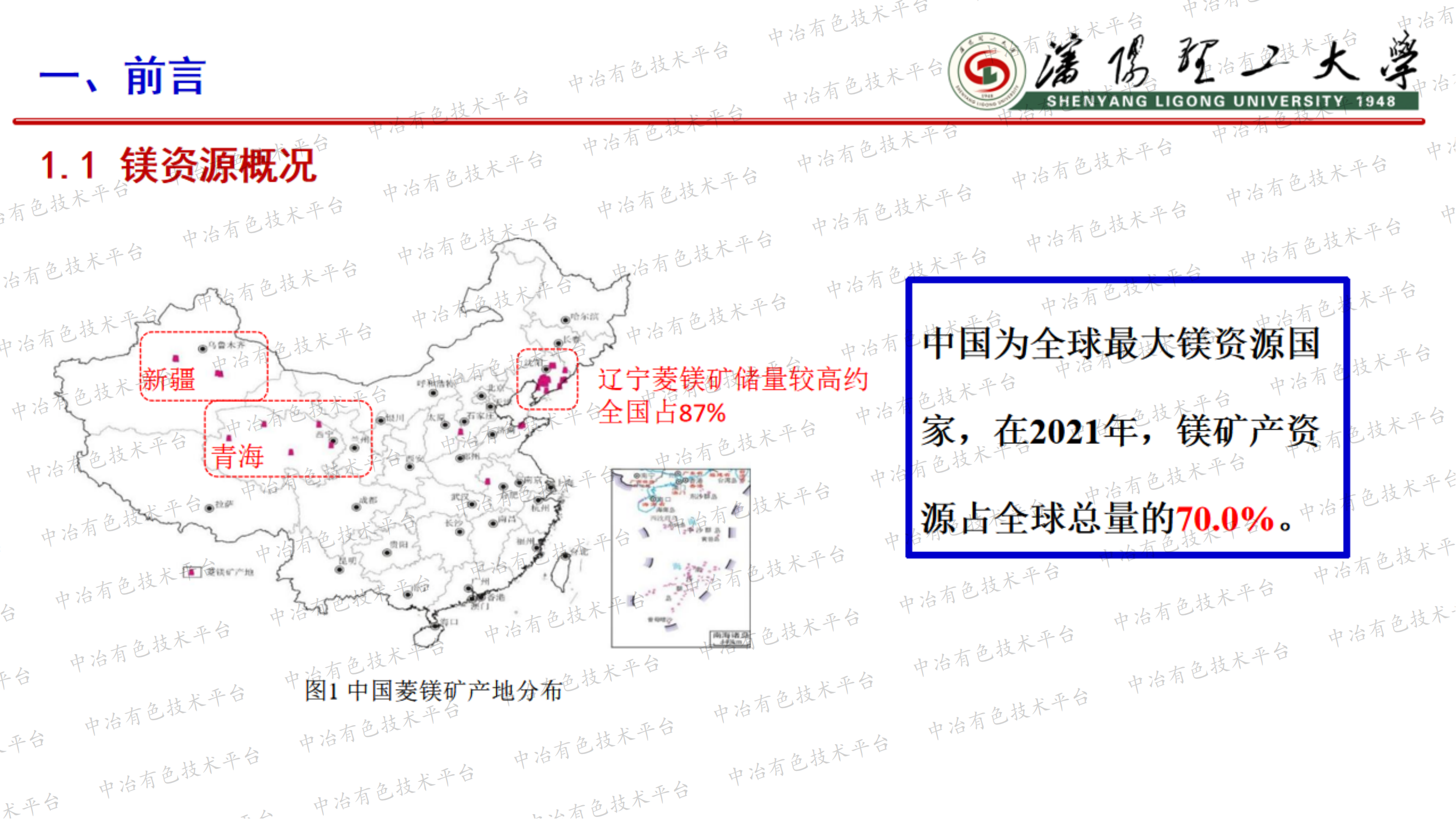 新型調(diào)整劑改善十二胺選擇性捕收菱鎂礦和石英性能機(jī)制研究