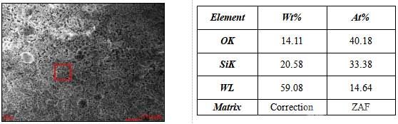 1700℃氧化14h后涂層表面形貌及EDS能譜分析