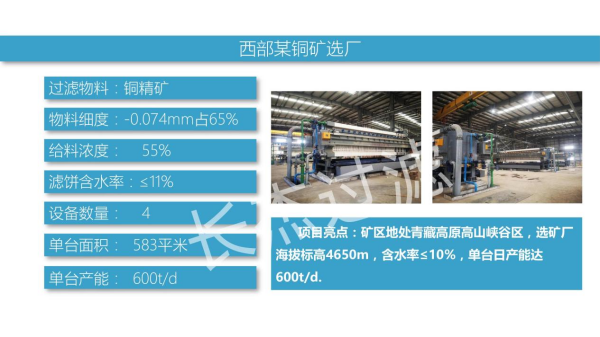 西部某銅礦選廠