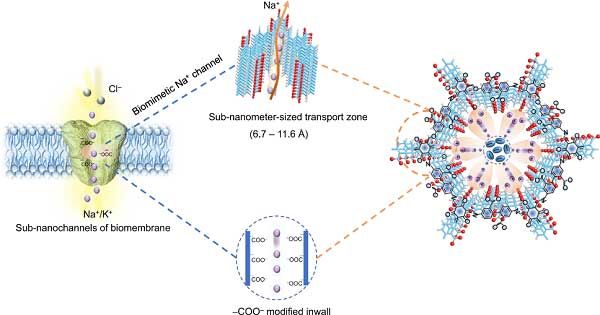 Nat. Commun.：準(zhǔn)固態(tài)鈉電池中鈉離子傳導(dǎo)通道的仿生設(shè)計