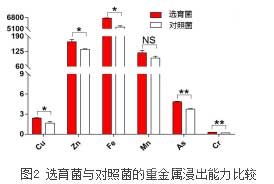 選育菌與對(duì)照菌的重金屬浸出能力比較