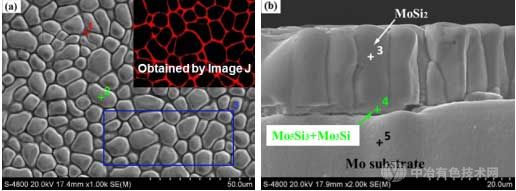 Mo-MoSi2高溫結(jié)構(gòu)材料的表面（a）和斷面（b）照片