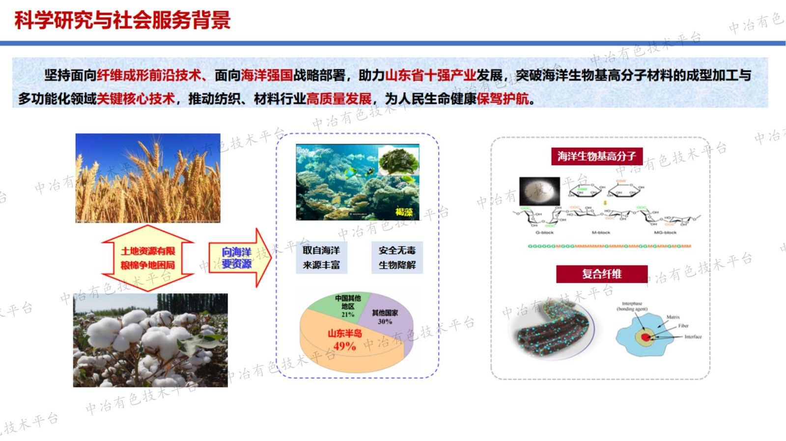 生物基納米纖維